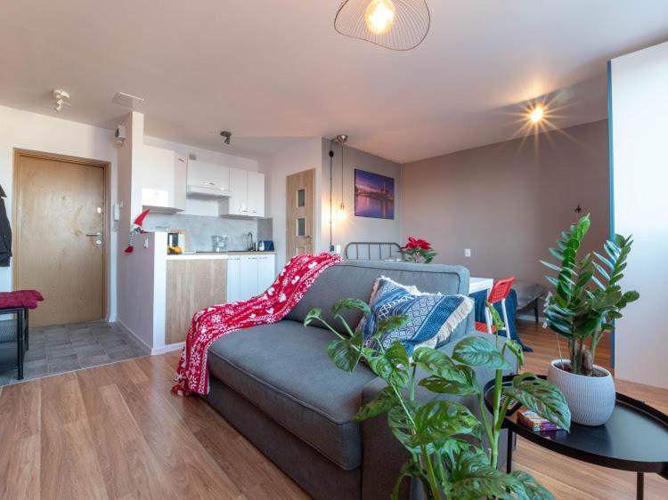 Modern Studio In The City Center Of Wroclaw! Buitenkant foto
